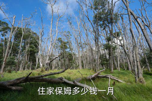 住家保姆多少钱一月