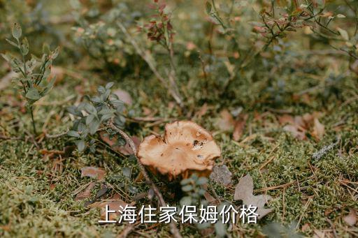 上海住家保姆价格