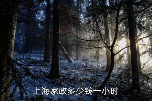2015上海做保姆多少钱，去上海做家政多少钱一个月住家的51的阿姨可以吗