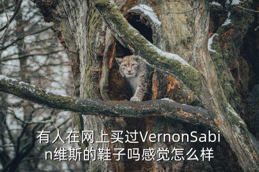 有人在网上买过VernonSabin维斯的鞋子吗感觉怎么样