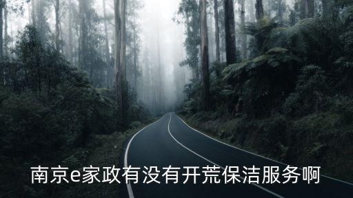 南京e家政有没有开荒保洁服务啊