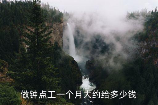 钟点工包月价格多少钱，在建德的钟点工每小时多少钱包月要多少呢