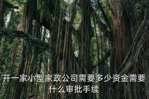 开一家小型家政要多少钱，现在开一间家政服务公司大概要多少钱