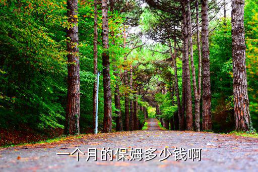 一个月的保姆多少钱啊