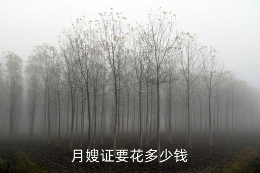 月嫂证要花多少钱