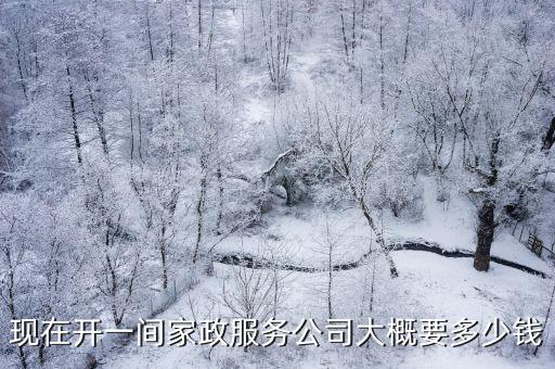 家政加盟得多少钱，现在开一间家政服务公司大概要多少钱