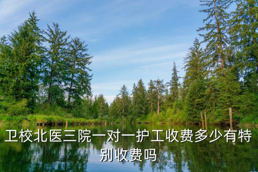 卫校北医三院一对一护工收费多少有特别收费吗