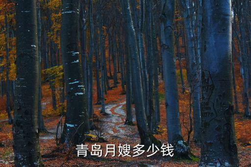 青岛月嫂多少钱