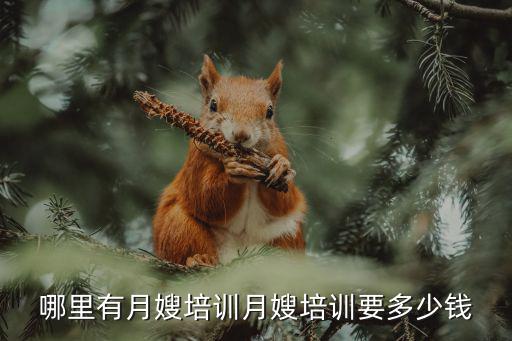 哪里有月嫂培训月嫂培训要多少钱