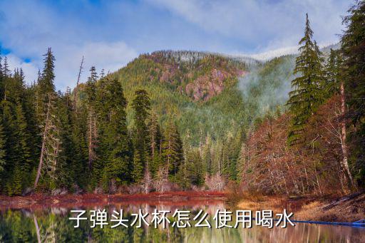 子弹头水杯怎么使用喝水