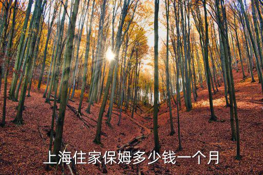 专业住家保姆多少钱一个月，住家保姆一个月工资多少