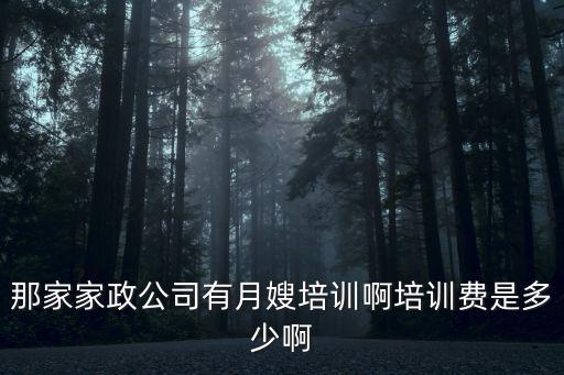 那家家政公司有月嫂培训啊培训费是多少啊