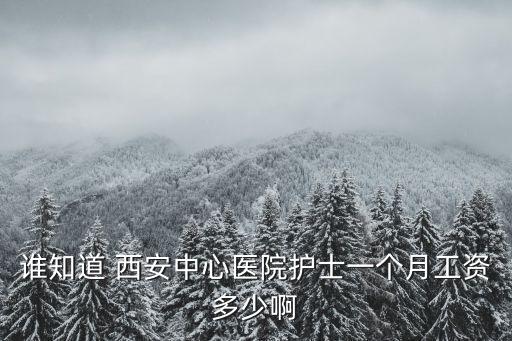 谁知道 西安中心医院护士一个月工资多少啊