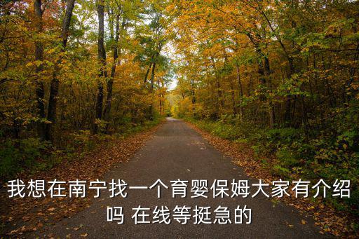 我想在南宁找一个育婴保姆大家有介绍吗 在线等挺急的
