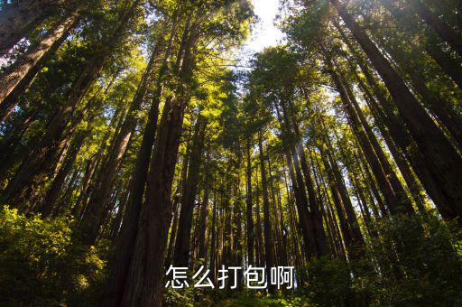 怎么打包啊