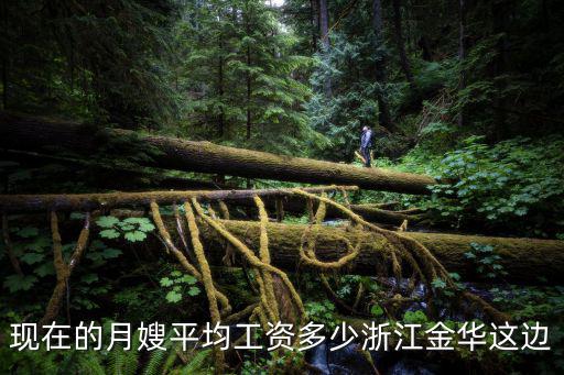 现在的月嫂平均工资多少浙江金华这边