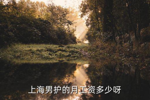 上海男护的月工资多少呀