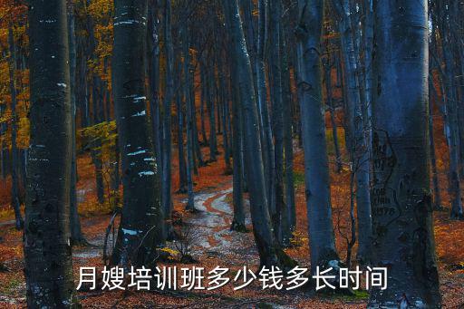 上海的月嫂培训一学时收费多少，月嫂培训班需要培训多长时间怎样收费呀