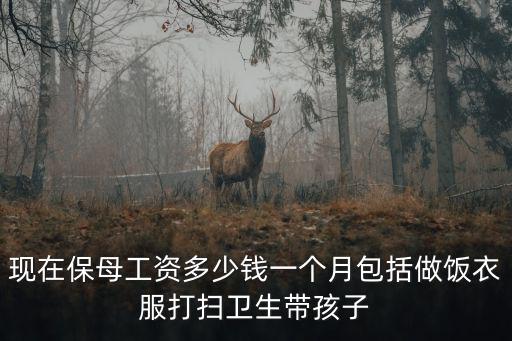 现在保母工资多少钱一个月包括做饭衣服打扫卫生带孩子