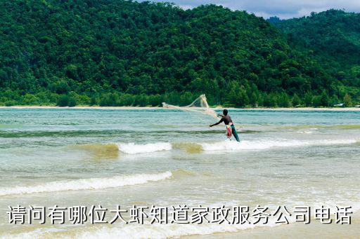 请问有哪位大虾知道家政服务公司电话
