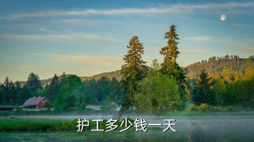 护工多少钱一天