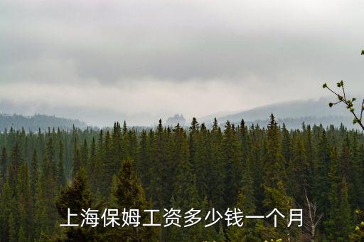 上海万科保姆工资多少，在万科当保安怎么万科待遇怎么样急求