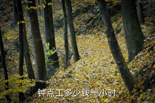 钟点工多少钱一小时