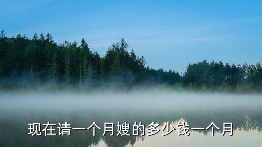 武汉月嫂多少钱价格表，谁知道请月嫂多少钱
