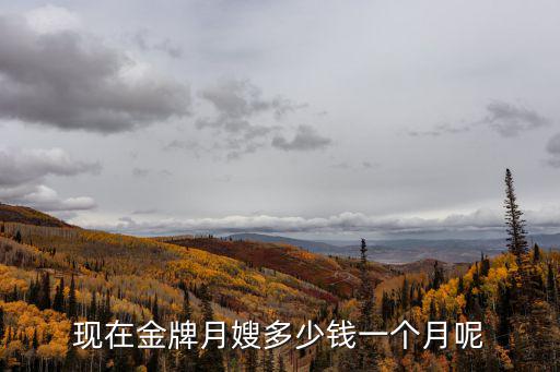 现在金牌月嫂多少钱一个月呢