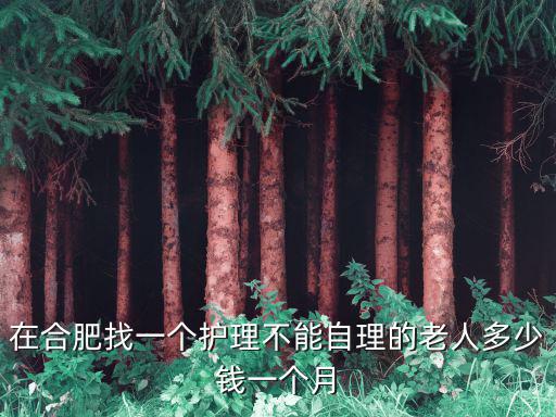 在合肥找一个护理不能自理的老人多少钱一个月