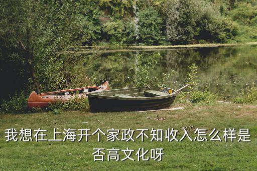 我想在上海开个家政不知收入怎么样是否高文化呀