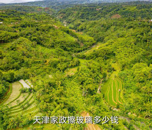 天津家政擦玻璃多少钱