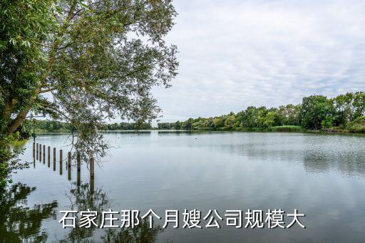 石家庄那个月嫂公司规模大