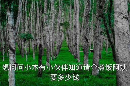 想问问小木有小伙伴知道请个煮饭阿姨要多少钱