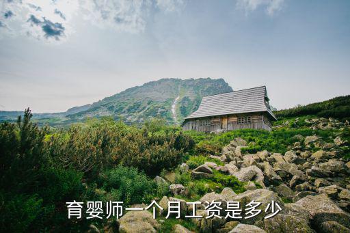 育婴师一个月工资是多少