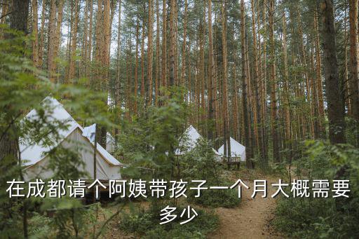 2017年成都保姆多少钱，在成都请个阿姨带孩子一个月大概需要多少