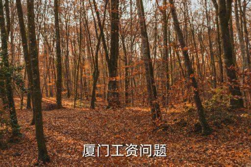 厦门工资问题