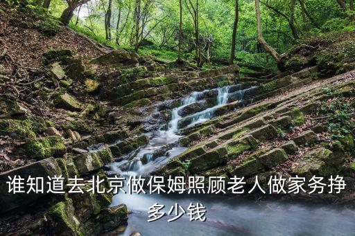 谁知道去北京做保姆照顾老人做家务挣多少钱