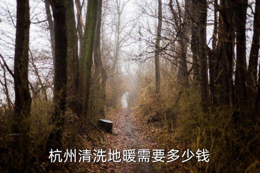 杭州保洁一般多少钱，杭州联想笔记本整机清洁价格