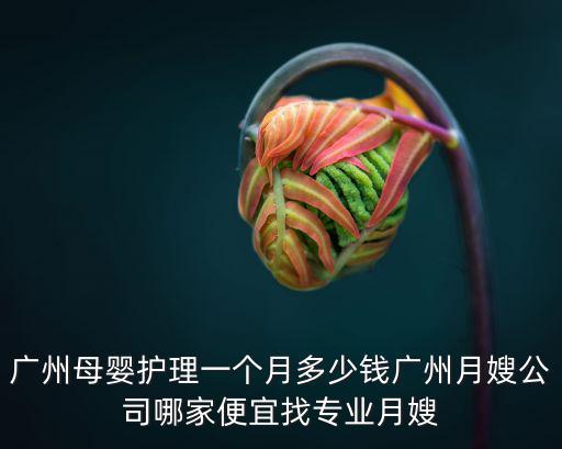 广州母婴护理一个月多少钱广州月嫂公司哪家便宜找专业月嫂