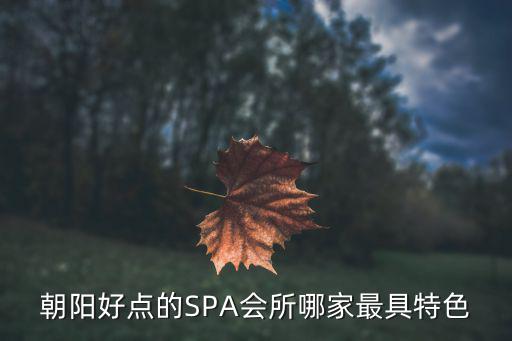朝阳好点的SPA会所哪家最具特色
