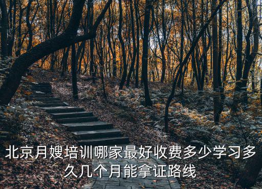 北京月嫂培训哪家最好收费多少学习多久几个月能拿证路线