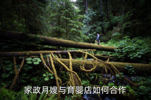 怎么与家政公司合作，做家政月嫂培训公司怎么打开市场可以和什么单位合作