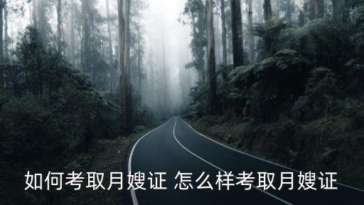如何考取月嫂证 怎么样考取月嫂证