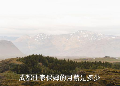成都保姆怎么样，成都老实人保洁公司怎么样 价格合理不