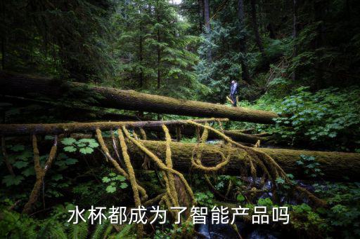 水杯成为时尚单品吗为什么，水杯都成为了智能产品吗