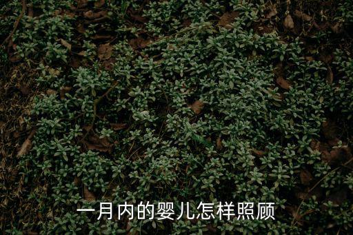 一月内的婴儿怎样照顾