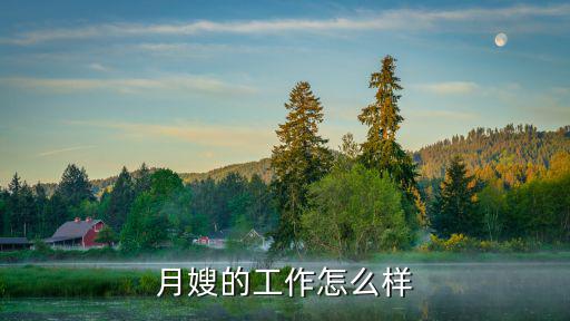 月嫂的工作怎么样