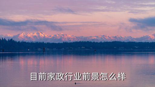 目前家政行业前景怎么样