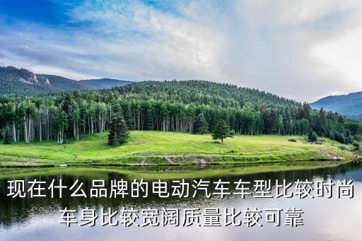 现在什么品牌的电动汽车车型比较时尚车身比较宽阔质量比较可靠